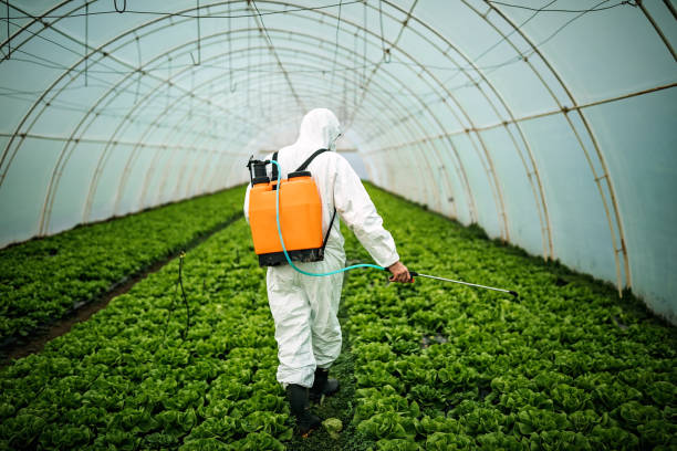 Best Pest Control for Homes  in Kohler, WI