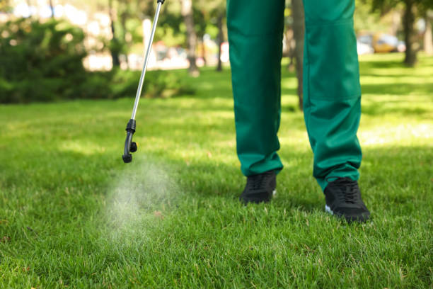 Best Emergency Pest Control  in Kohler, WI